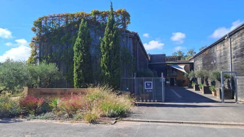 Mèze: Guided Tour of the Estate & Wine Tasting - An In-Depth Look at the Tour Experience