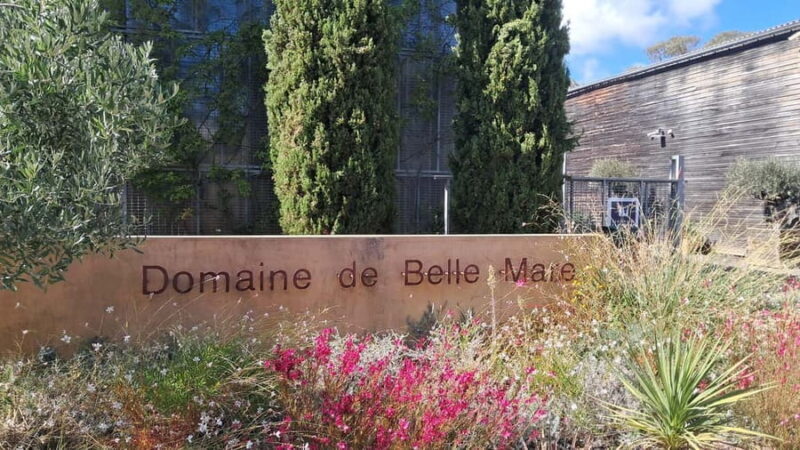 Mèze: Guided Tour of the Estate & Wine Tasting - Potential Drawbacks or Considerations