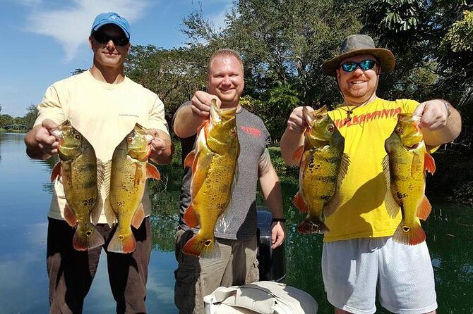 Miami Airport Lakes Peacock Bass Fishing Trip (1 to 4 ppl) - Key Points