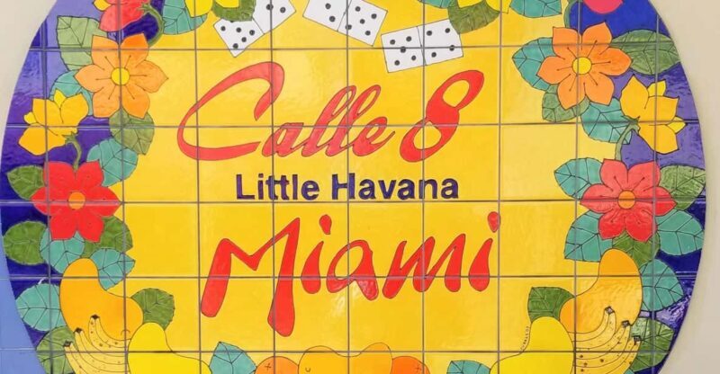 Miami and Miami Beach Private Sightseeing Tour - Final Thoughts