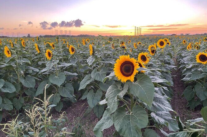 Miami ATV & Buggy Adventure- 5 Star Rated - Practical Details