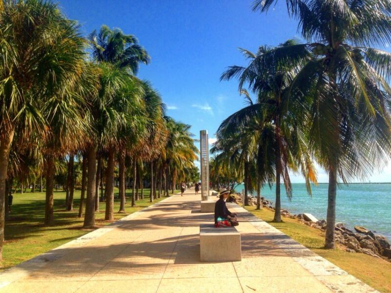Miami Beach: 1-Hour Segway Glide - Why Choose the Miami Beach Segway Tour?