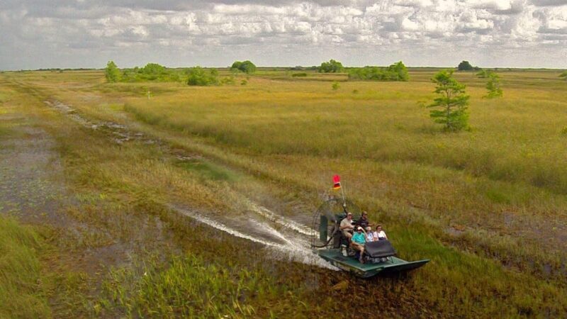 Miami Beach: Everglades Airboat & Wildlife Sanctuary - Final Words