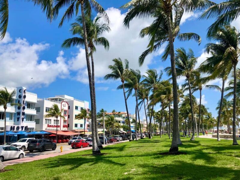 Miami Beach: Guided Tour with Expert Local Guide - Key Points