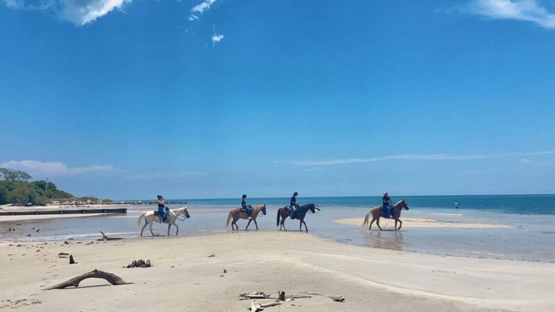 Miami: Beach Horse Ride & Nature Trail - A Closer Look at the Experience