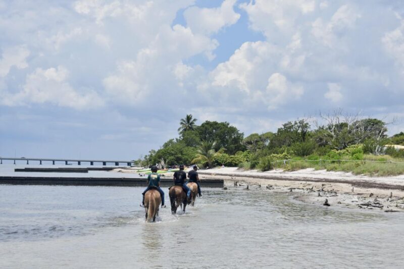 Miami: Beach Horse Ride & Nature Trail - What Reviewers Love Most