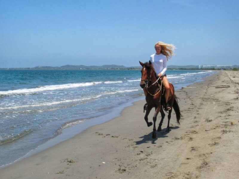 Miami: Beach Horse Ride & Nature Trail - Final Thoughts