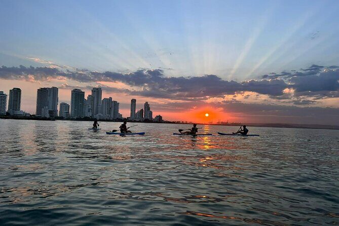 Miami Beach Paddleboard Rental with Instruction - FAQ