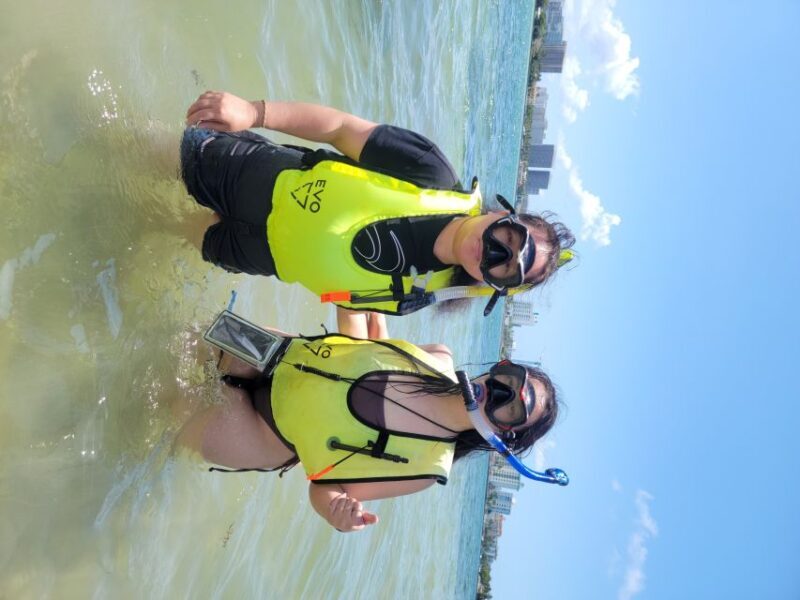 Miami: Beginner-Friendly Island Snorkeling by SUP or Kayak - Starting Point & Arrival Tips