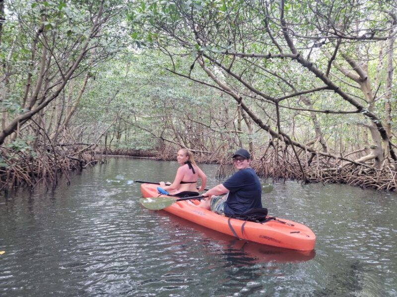Miami: Beginner-Friendly Island Snorkeling by SUP or Kayak - Exploring the Mangroves