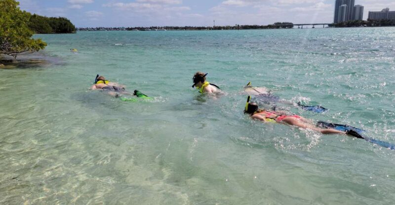 Miami: Beginner-Friendly Island Snorkeling by SUP or Kayak - Snorkeling at Sandspur Island