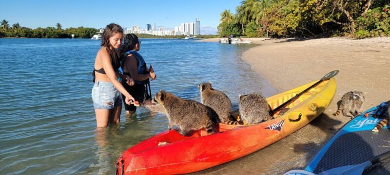 Miami: Beginner-Friendly Island Snorkeling by SUP or Kayak - Return to Shore