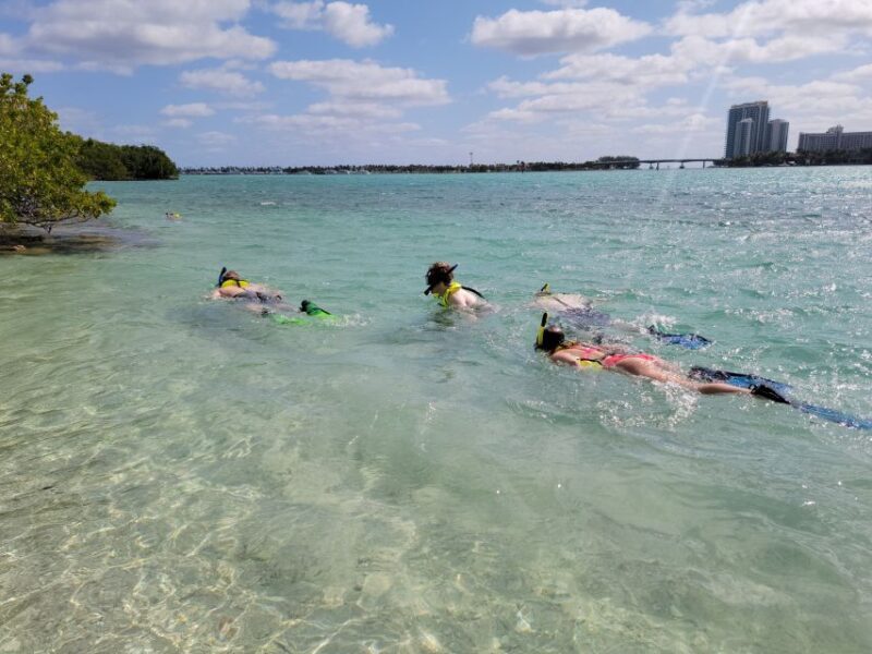 Miami: Beginner-Friendly Island Snorkeling by SUP or Kayak - Practical Details & Tips