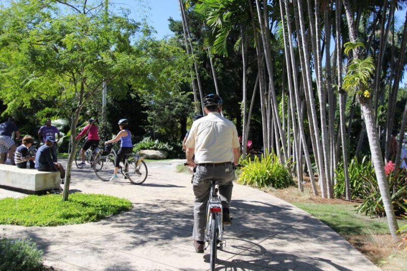 Miami: Bike Rental - The Authentic Miami Experience: Real Traveler Insights