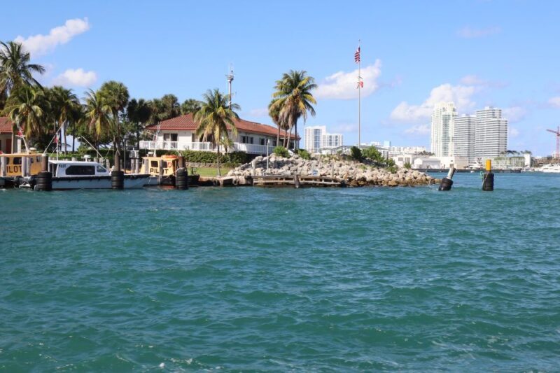 Miami Biscayne Bay: Hop-on Hop-off Boat Cruise - Wildlife and Natural Encounters