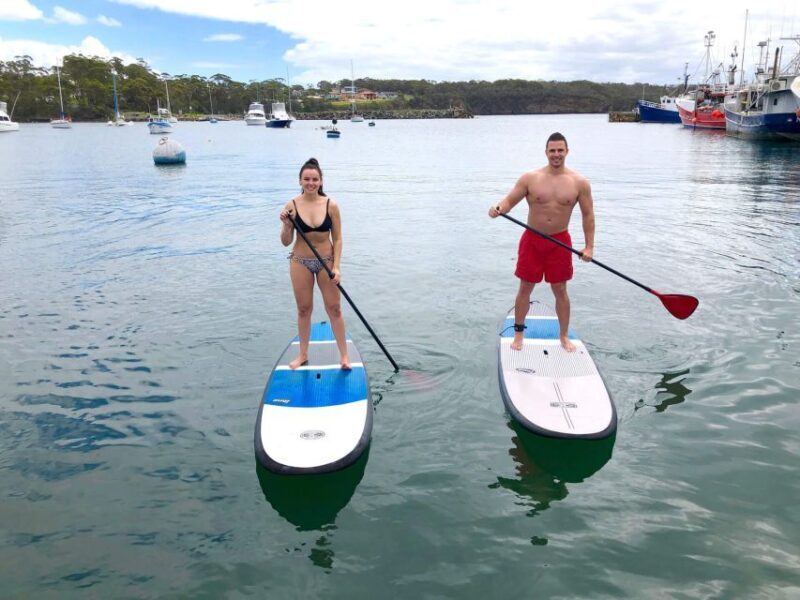 Miami: Biscayne Bay Kayak or Paddleboard Rental - Key Points