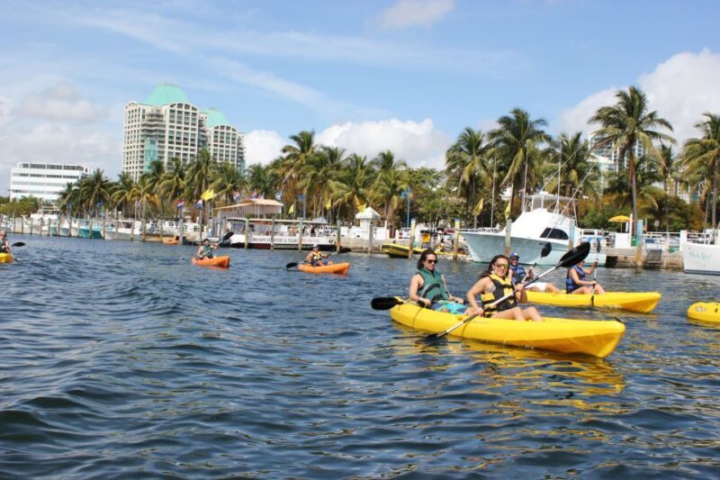 Miami: Biscayne Bay Kayak or Paddleboard Rental - Why Choose Biscayne Bay Kayak or Paddleboard Rental?