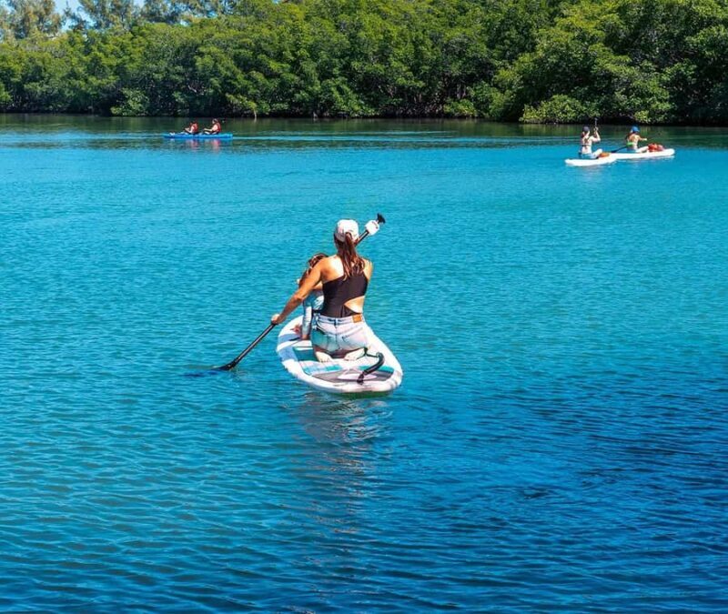 Miami: Biscayne Bay Sunset Paddle Tour - PADL Beach Club - FAQ