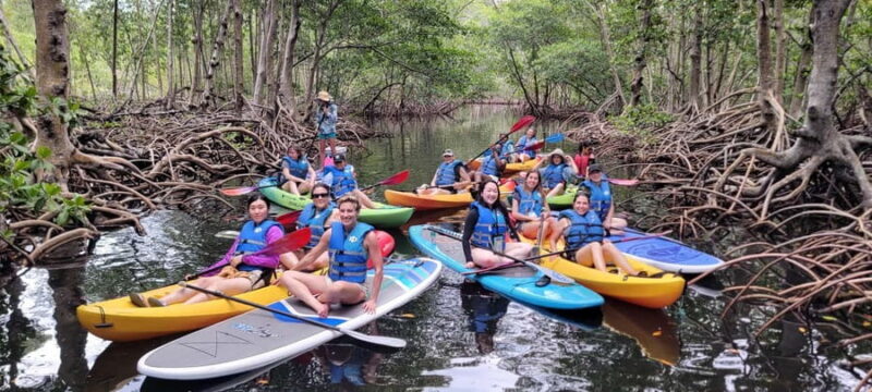 Miami: Biscayne Bay Ultimate Boat Tour with Kayak Experience - Duration, Price, and Practical Details