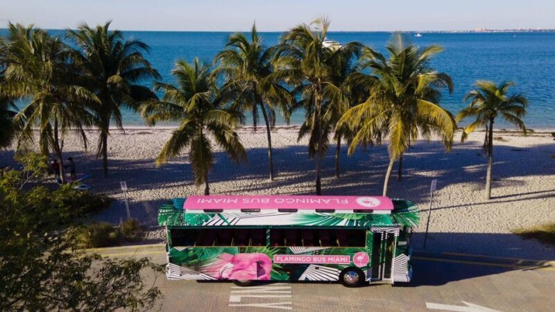 Miami Bus Tour Flamingo Open Air Trolley Bus Tours City Tour - The Sum Up
