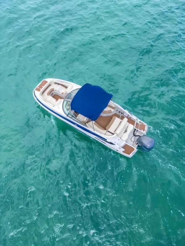 Miami: Celebrity mansions home tour & Private island charter - Why This Tour Stands Out