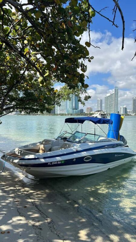 Miami: Celebrity mansions home tour & Private island charter - Practical Tips for Booking and Enjoying