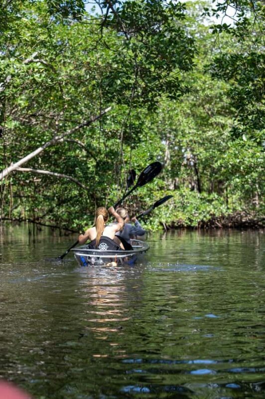 Miami: Clear Kayak Eco Tour with Guide and Wildlife - Final Thoughts