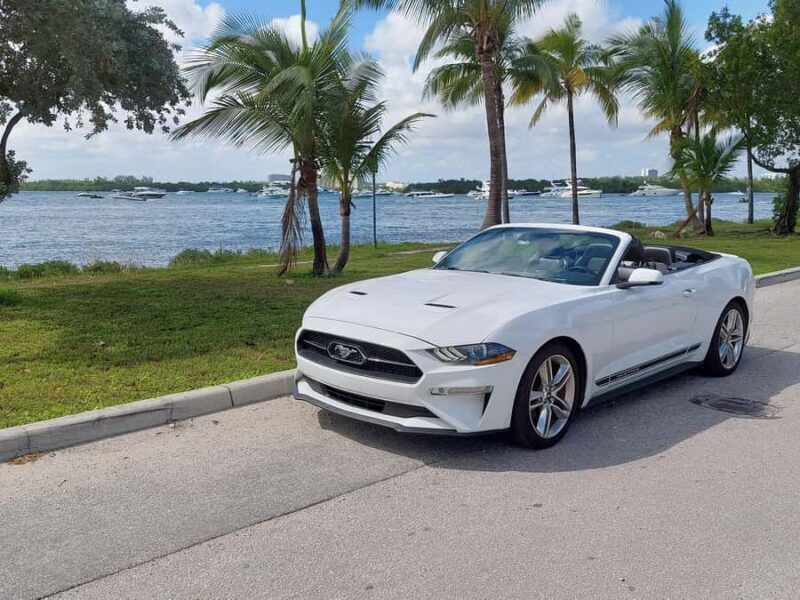 Miami: Day Tour of the Keys in a Convertible Mustang (French) - Key Points