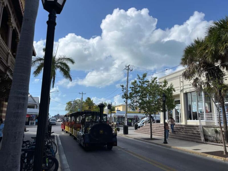 Miami: Day Tour of the Keys in a Convertible Mustang (French) - The Experience in Detail