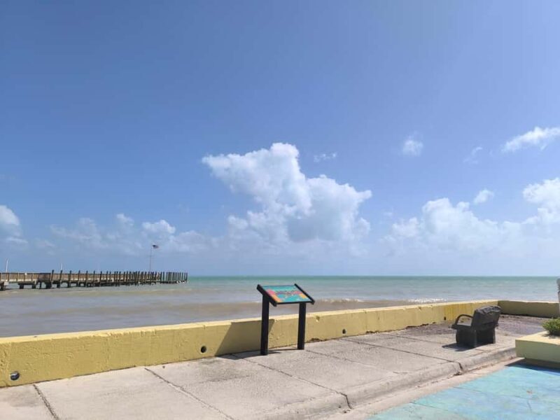 Miami: Day Tour of the Keys in a Convertible Mustang (French) - Who Should Consider This Tour?