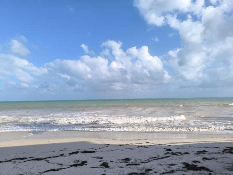 Miami: Day Tour of the Keys in a Convertible Mustang (French) - The Sum Up