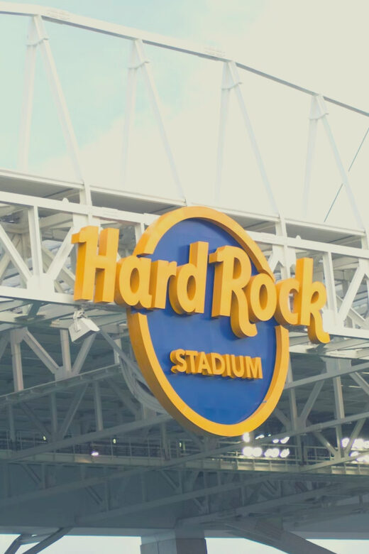 Miami Dolphins NFL Football Game Ticket - Who Should Consider This Experience?