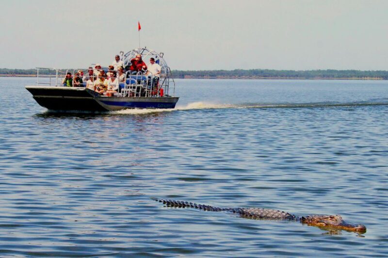 Miami: Everglades Airboat & Animal Sanctuary Tour with Photo - Who This Tour Is Best For