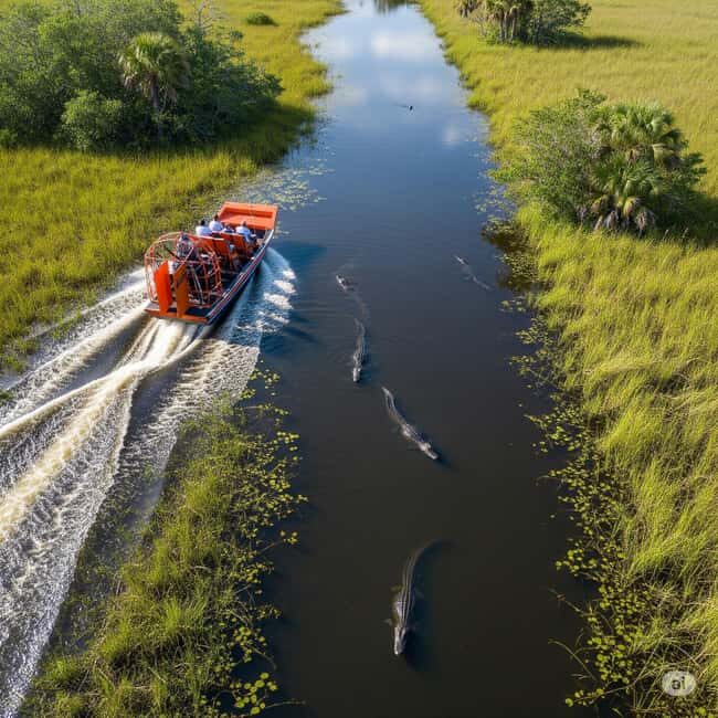 Miami: Everglades Airboat, Gator Experience with Transfer - The Value of the Experience