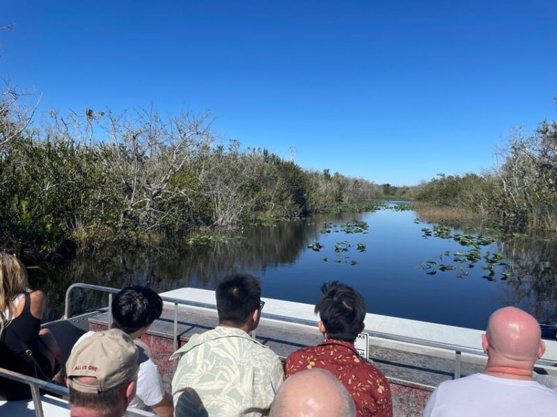 Miami: Everglades Airboat, Photo & Gator Experience - Final Thoughts