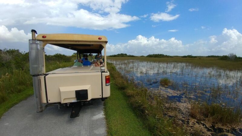Miami: Everglades Airboat Ride and Tram Tour - An In-Depth Review of the Everglades Tour Experience