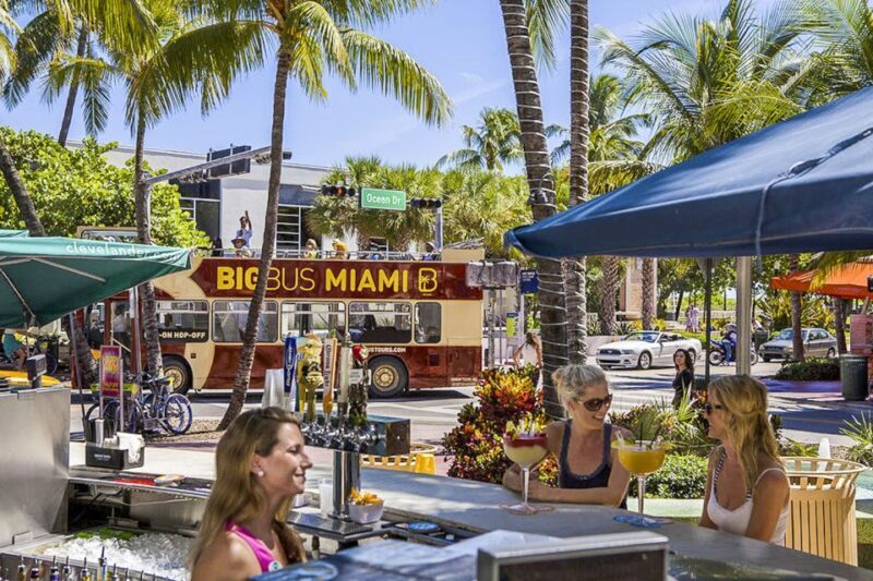 Miami: Everglades Experience, Bay Cruise & Open-top Bus Tour - What to Expect from the Miami Combo Tour