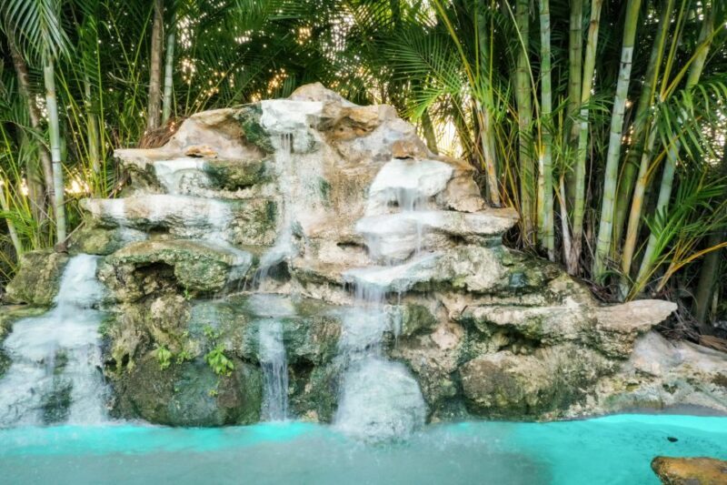 Miami: Everglades National Park Airboat Tour & Wildlife Show - The Airboat Ride: Speed, Swamps, and Surprises