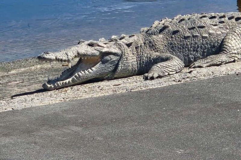 Miami: Everglades National Park Kayaking & Hiking Tour - Practical Details and Tips