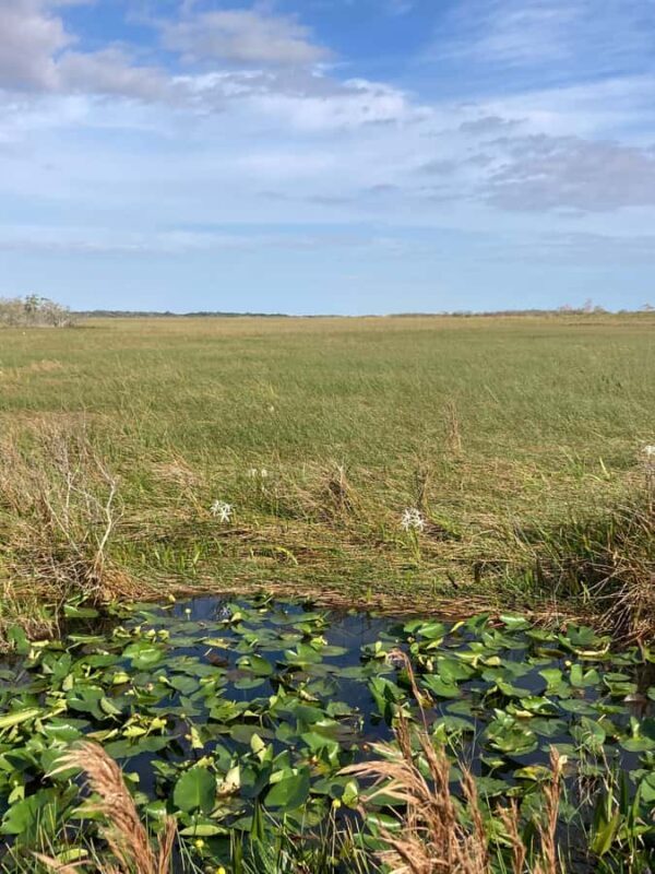 Miami: Everglades National Park Kayaking & Hiking Tour - Authentic Reviews Showcase