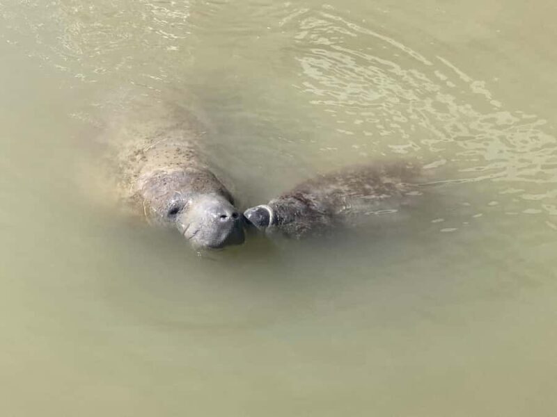 Miami: Everglades National Park Kayaking & Hiking Tour - Who Should Consider This Tour?