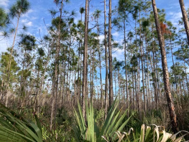 Miami: Everglades National Park Kayaking & Hiking Tour - Final Thoughts