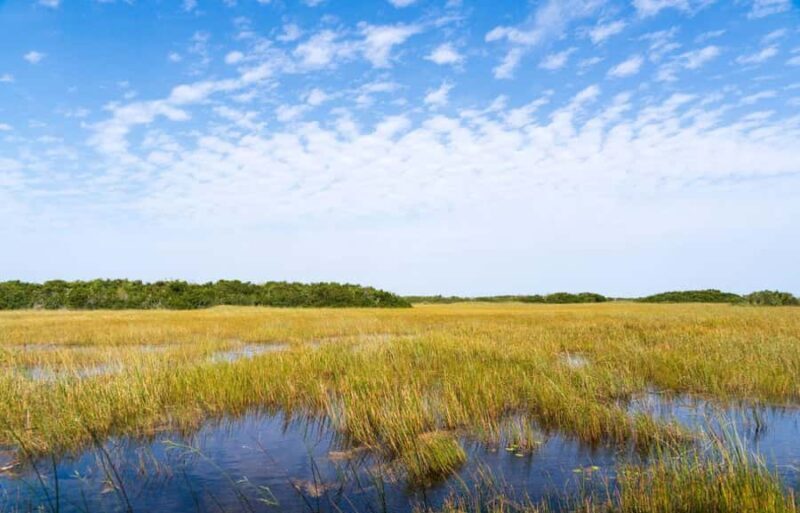 Miami: Everglades Private Tour - Key Points