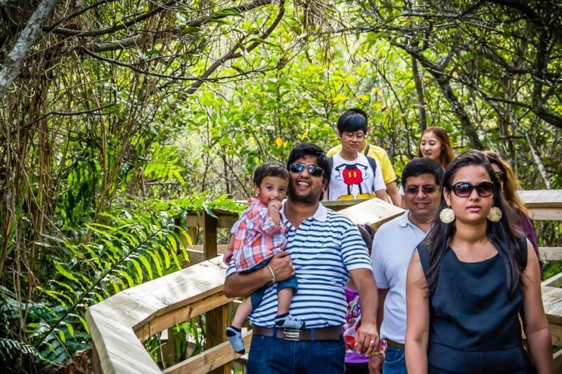Miami: Everglades Safari Park Airboat Tour - Miami: Everglades Safari Park Airboat Tour – A Full Look