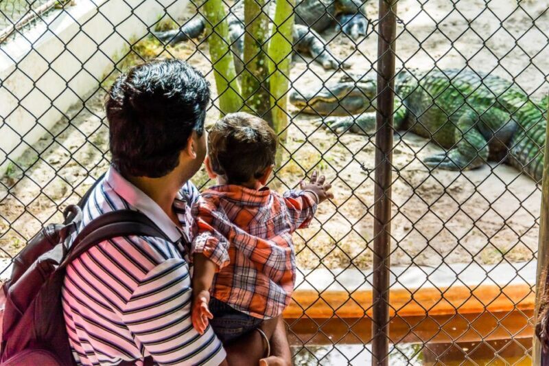 Miami: Everglades Safari Park Airboat Tour - Who Should Book This Tour?
