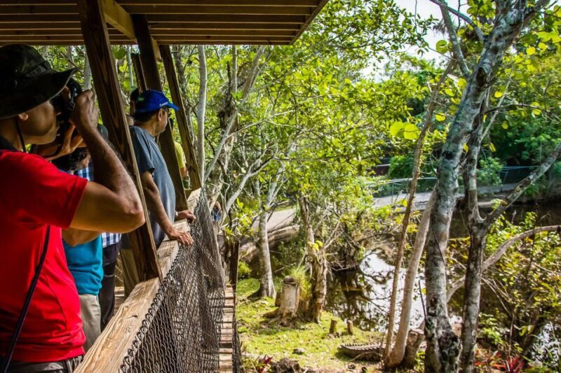 Miami: Everglades Safari Park Airboat Tour - The Sum Up