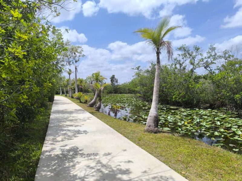 Miami: Everglades Small Group Tour in French - Final Thoughts