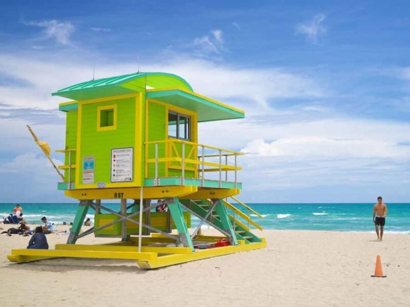 Miami: Explore Magic City in Style 2-Hour VIP Tour - Why Choose a Private, Custom Miami Tour?