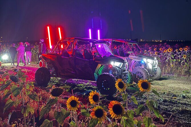 Miami Extreme Buggy UTV Glow in the Dark Ride - Key Points