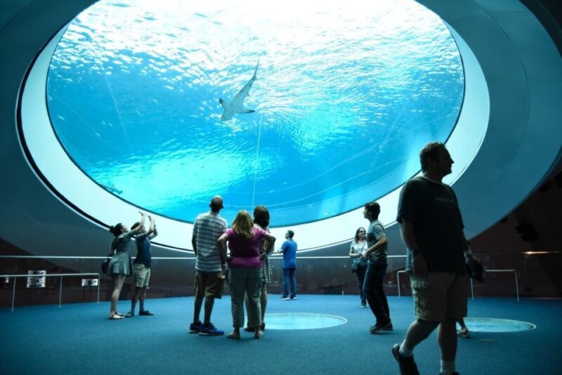 Miami: Frost Museum of Science and Planetarium Entry Ticket - The Sum Up: Who Will Love This Museum?